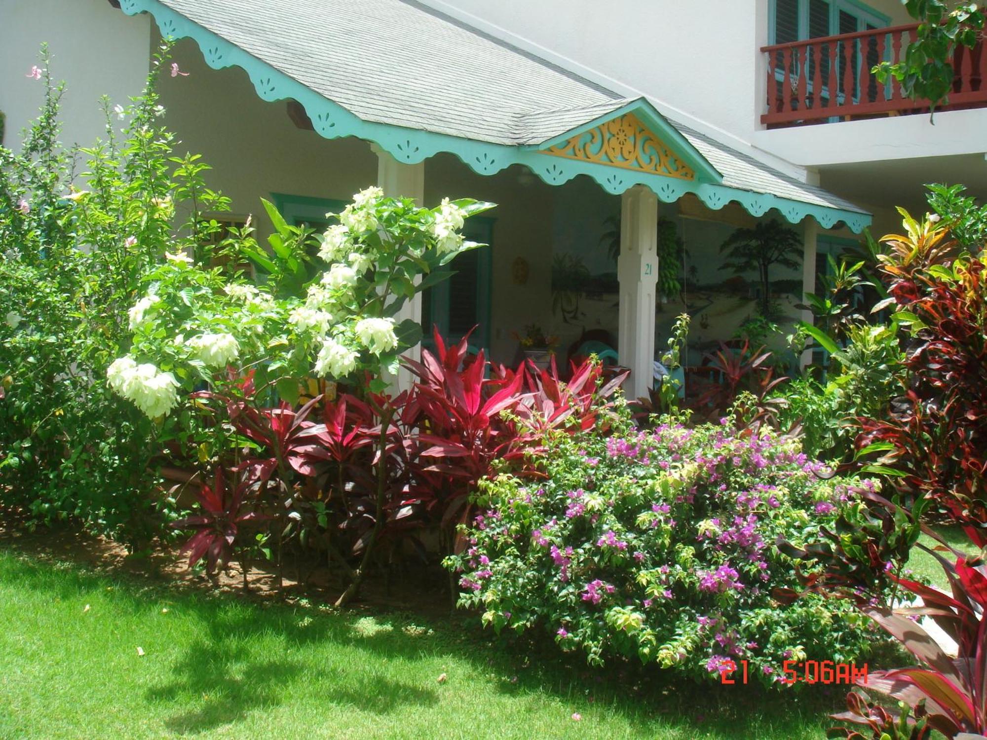 Hotel Playa Colibri Las Terrenas Eksteriør billede